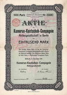 Kamerun-Kautschuk-Compagnie AG