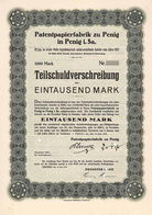 Patentpapierfabrik zu Penig