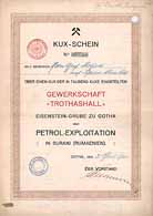 Gewerkschaft Trothashall Eisenstein-Grube und Petrol-Exploration
