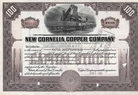 New Cornelia Copper Co.