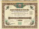Soc. Agricole du Song-Ray S.A.