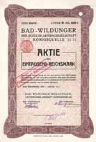 Bad-Wildunger Heilquellen-AG Königsquelle